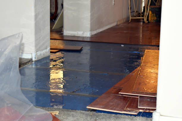 Professional Basement Flood Cleanup technician working in Saint Marys, IA